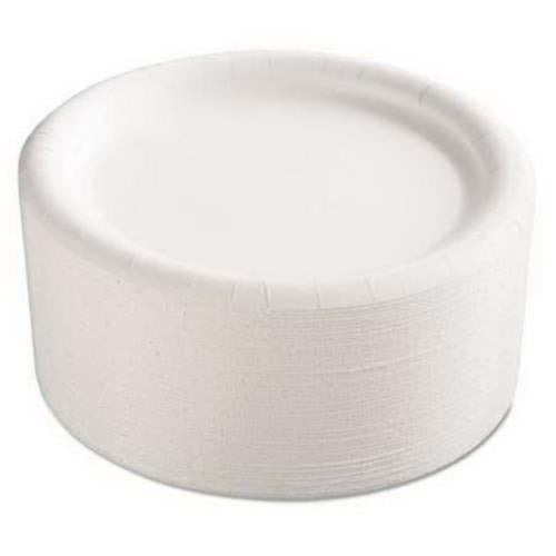 Paper Plate, White (500Pack)