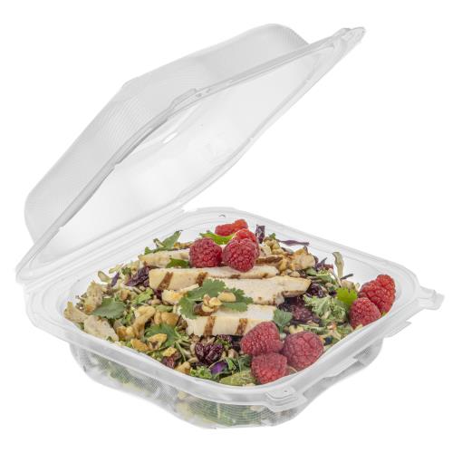 EcoSystems Polypropylene Hinged Container, Clear, 8.35" x 8.3" x 3", (150Pack)