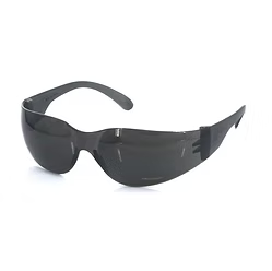 Safety Glasses, Clear View Style, Gray Lens
