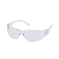 Safety Glasses, Clear View Style, Clear Anti-Fog Lens
